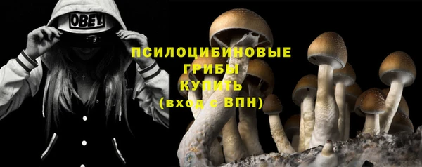скорость Горно-Алтайск