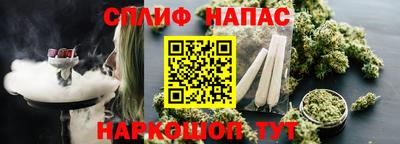 прущие крисы Моздок