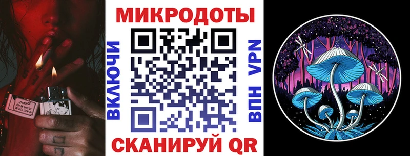 Псилоцибиновые грибы Psilocybine cubensis  Мончегорск 