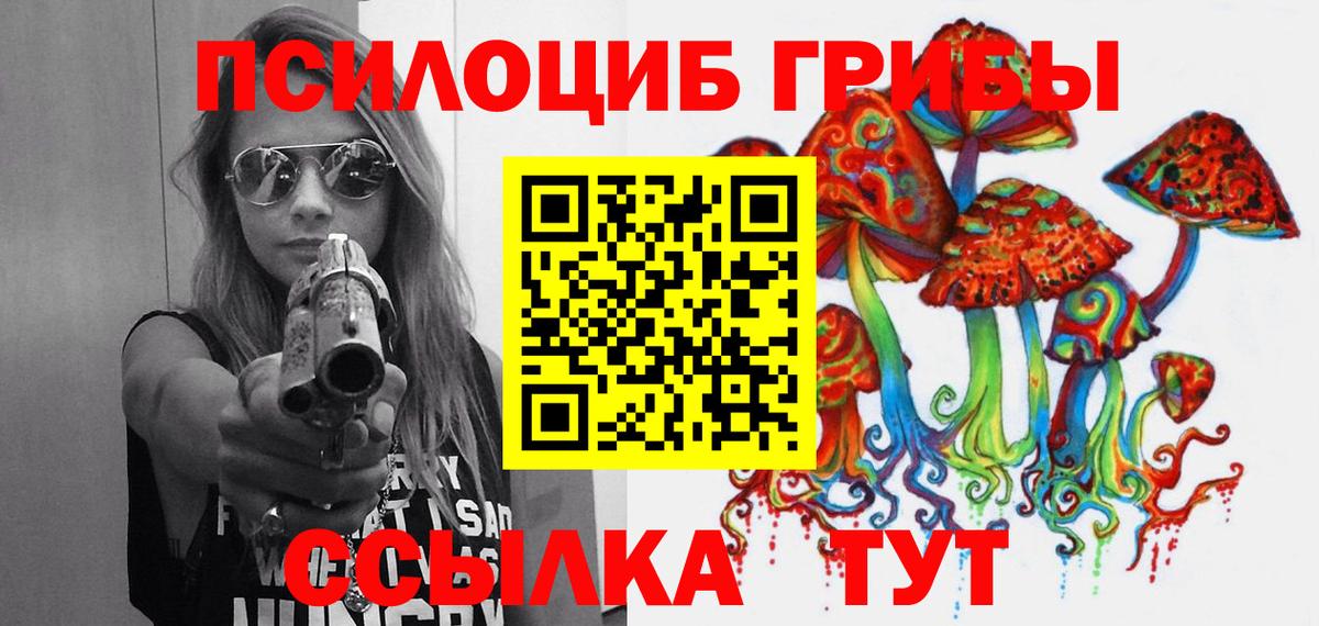 Галлюциногенные грибы GOLDEN TEACHER  Вход с VPN  Мончегорск 